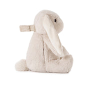 Cloud B LoveLight Billy Bunny Multisensory Sleep Soother